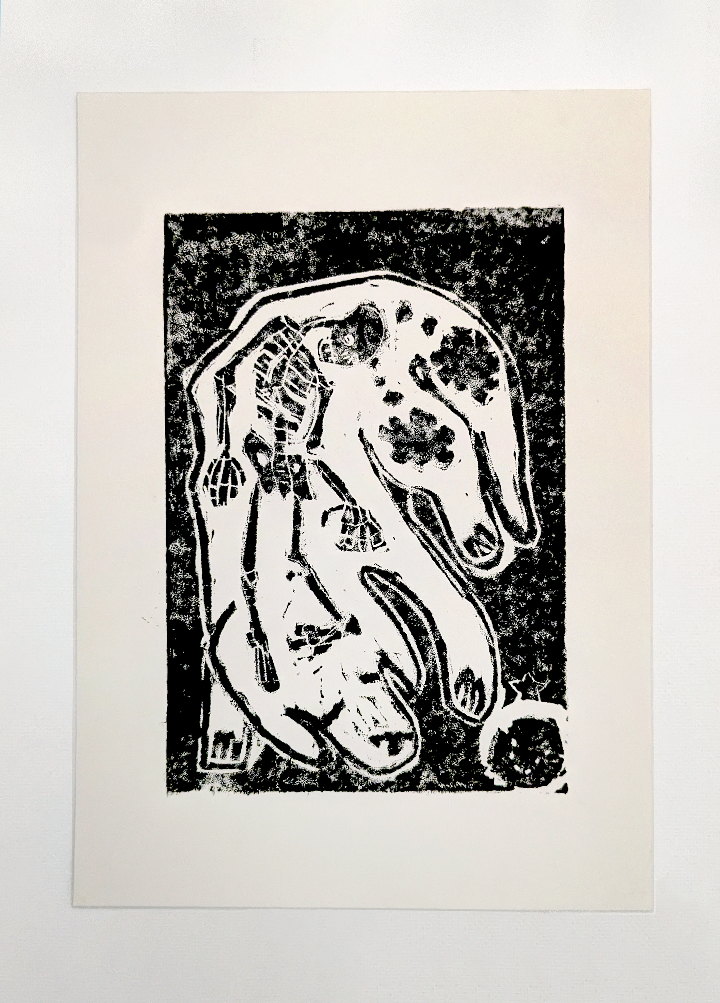 Vanitas in a careless dog (2019)